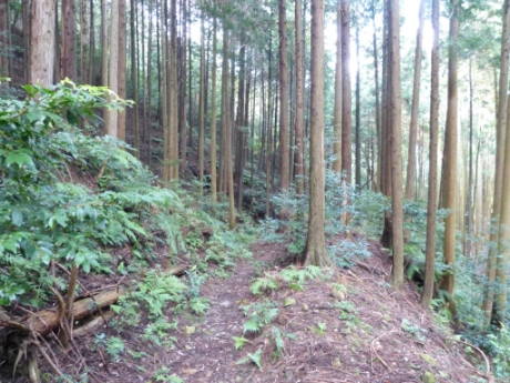 画像45